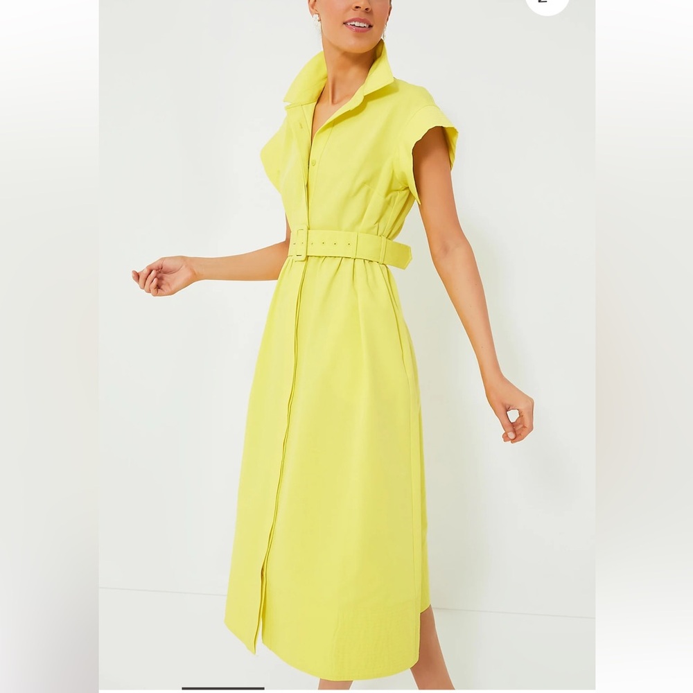 TUCKERNUCK Citron Chloe Dress SMALL - Picture 4 of 13